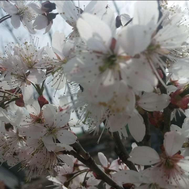 耗尽我的一生1494292114848734的自频道-优酷视频