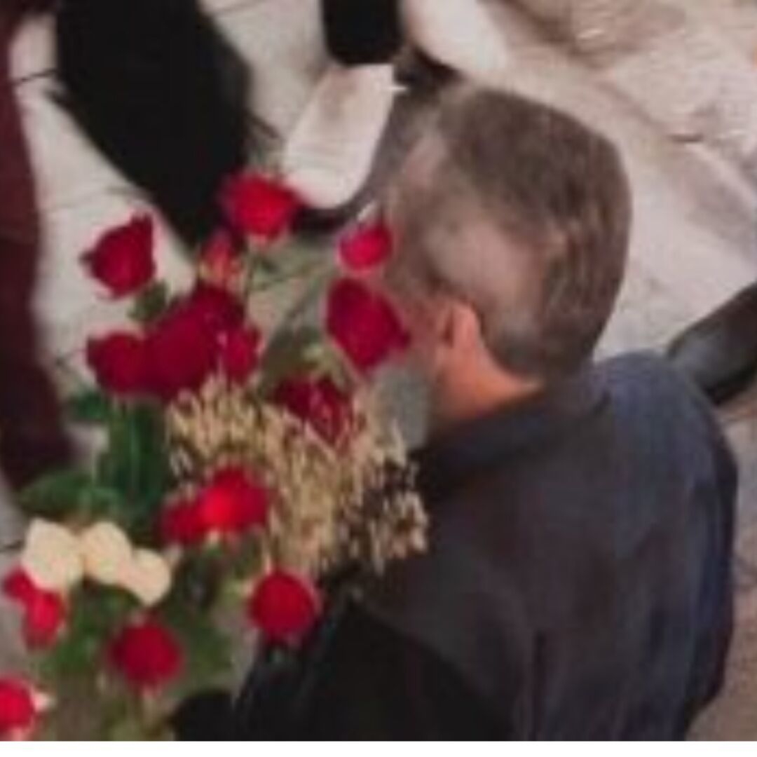 Obiwang的头像-WordPress主题模板-zibll子比主题