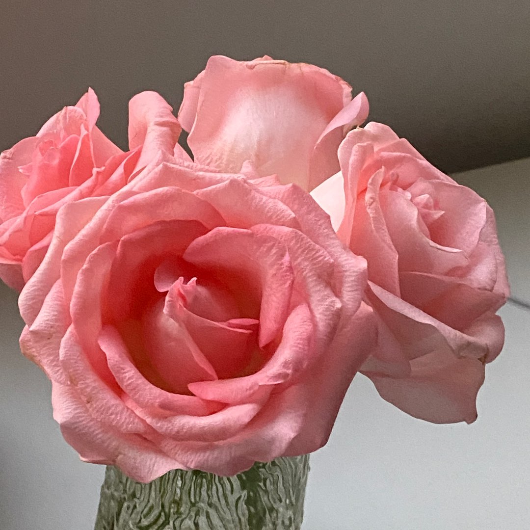 kenny的头像-助眠音声网