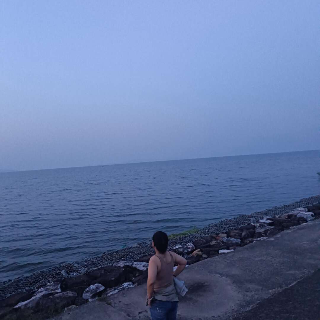 杨师傅
