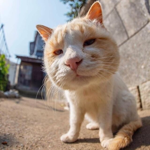 z0246800的头像-首码网-网上创业赚钱首码项目发布推广平台