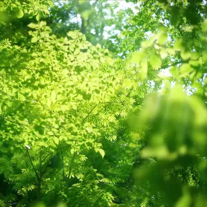 rucisheji的头像-洛雪音乐助手-软件分享