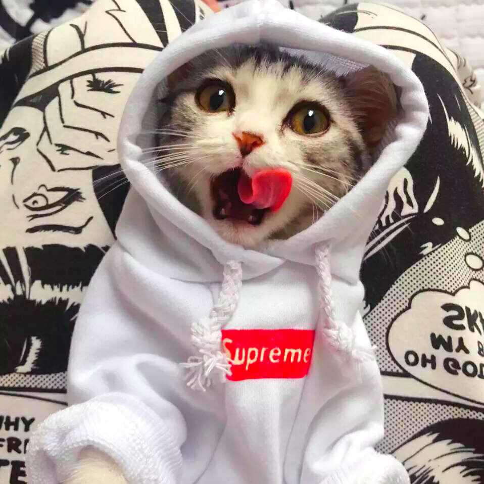 过客的头像