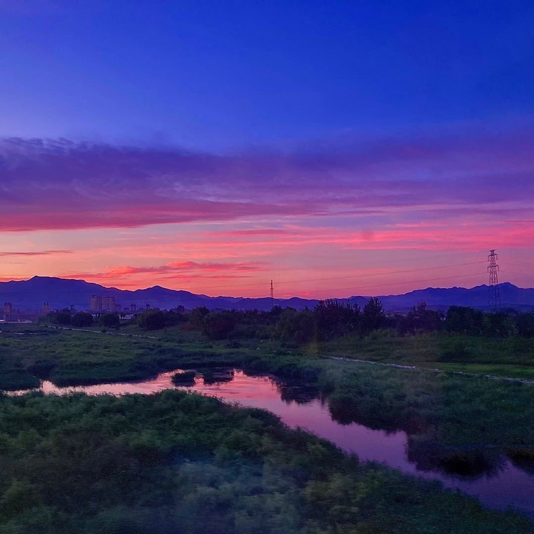 2099utopia的头像-WordPress主题模板-zibll子比主题