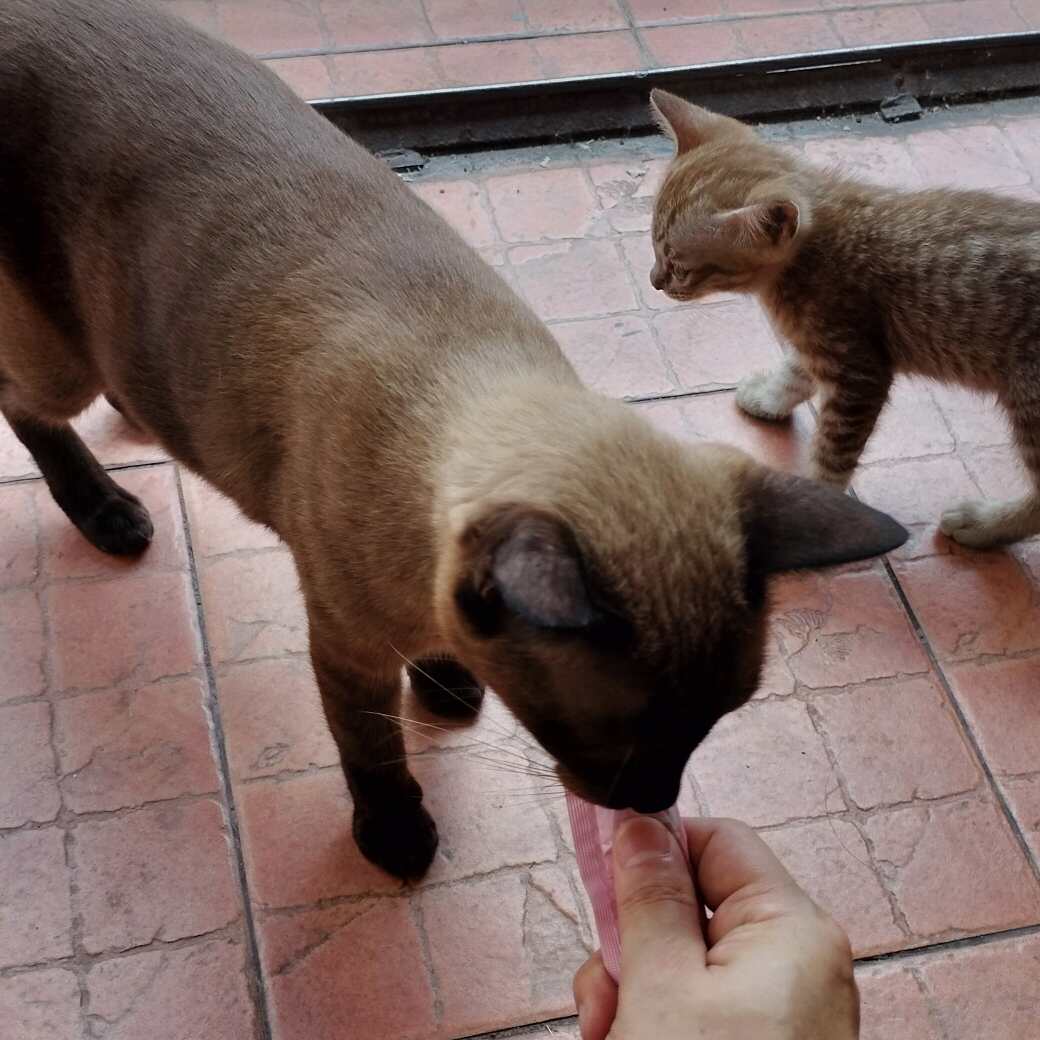 okawa1982的头像-淇云博客-专注于IT技术分享