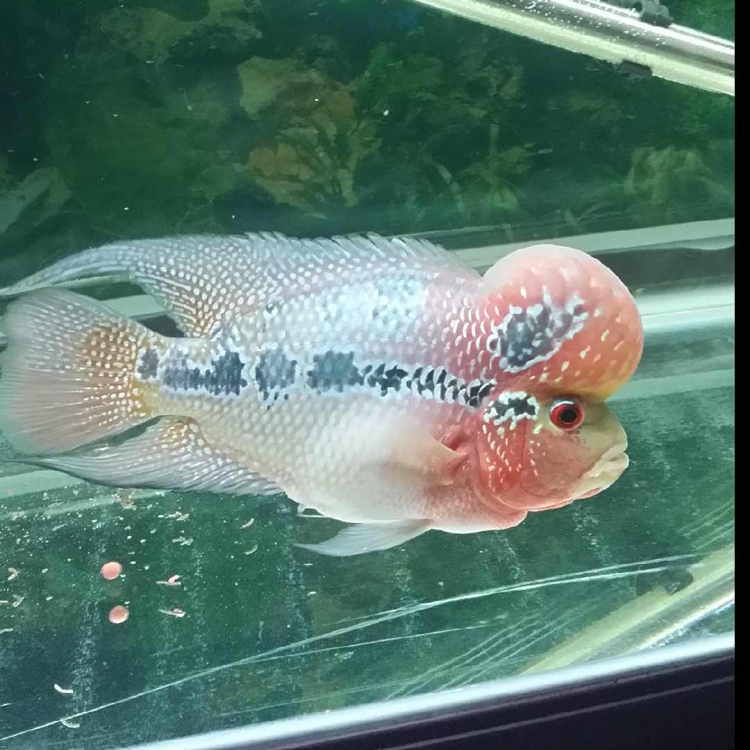 徐斌的头像