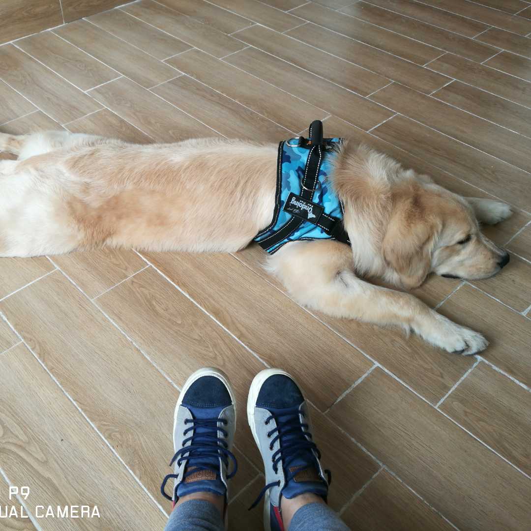 书友810739740的头像