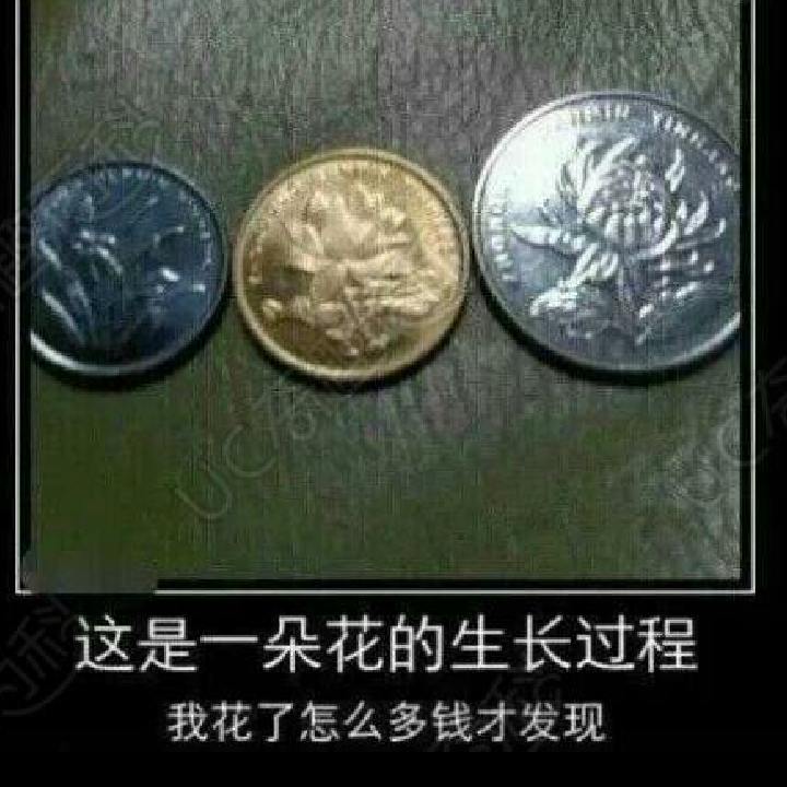 邵海鹏的头像