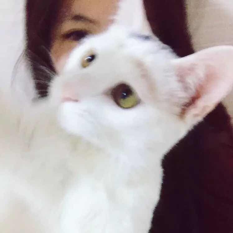 Zhang的头像