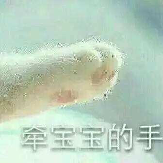 258369的头像