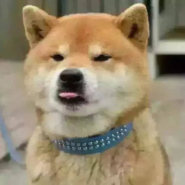 琳琳琳的头像