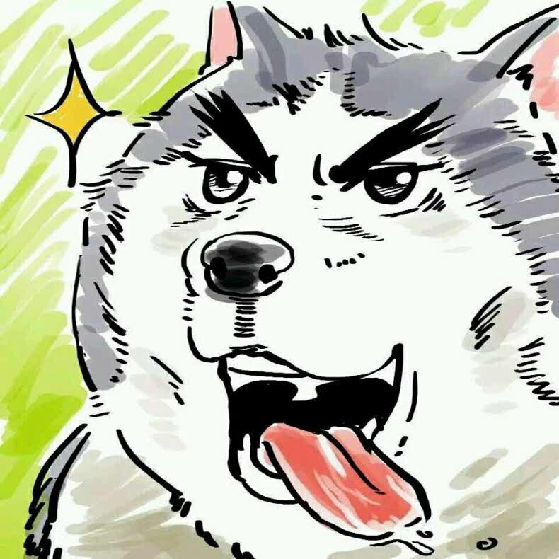 哈士奇的头像