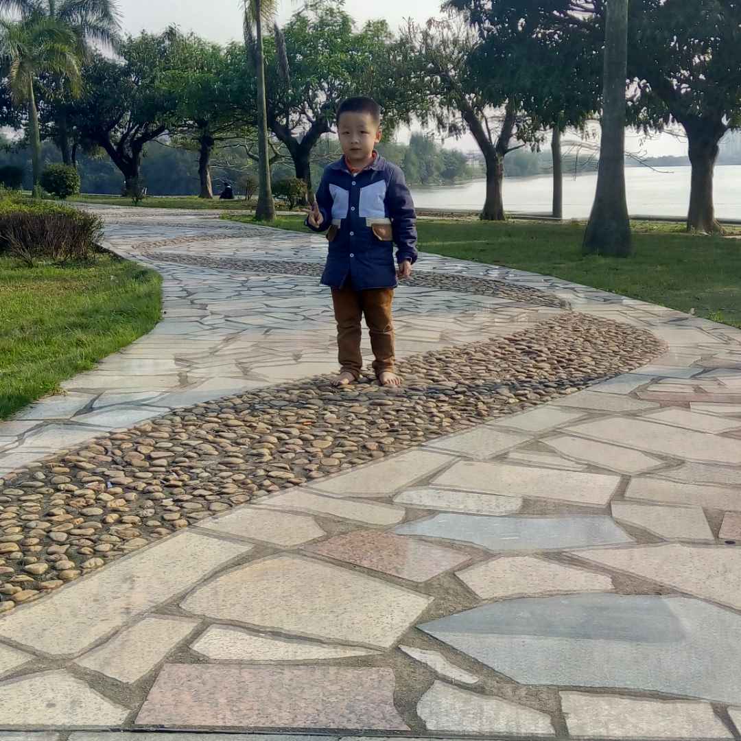 书友小紫的头像
