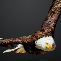 简爱1479354374172269的主页_土豆视频