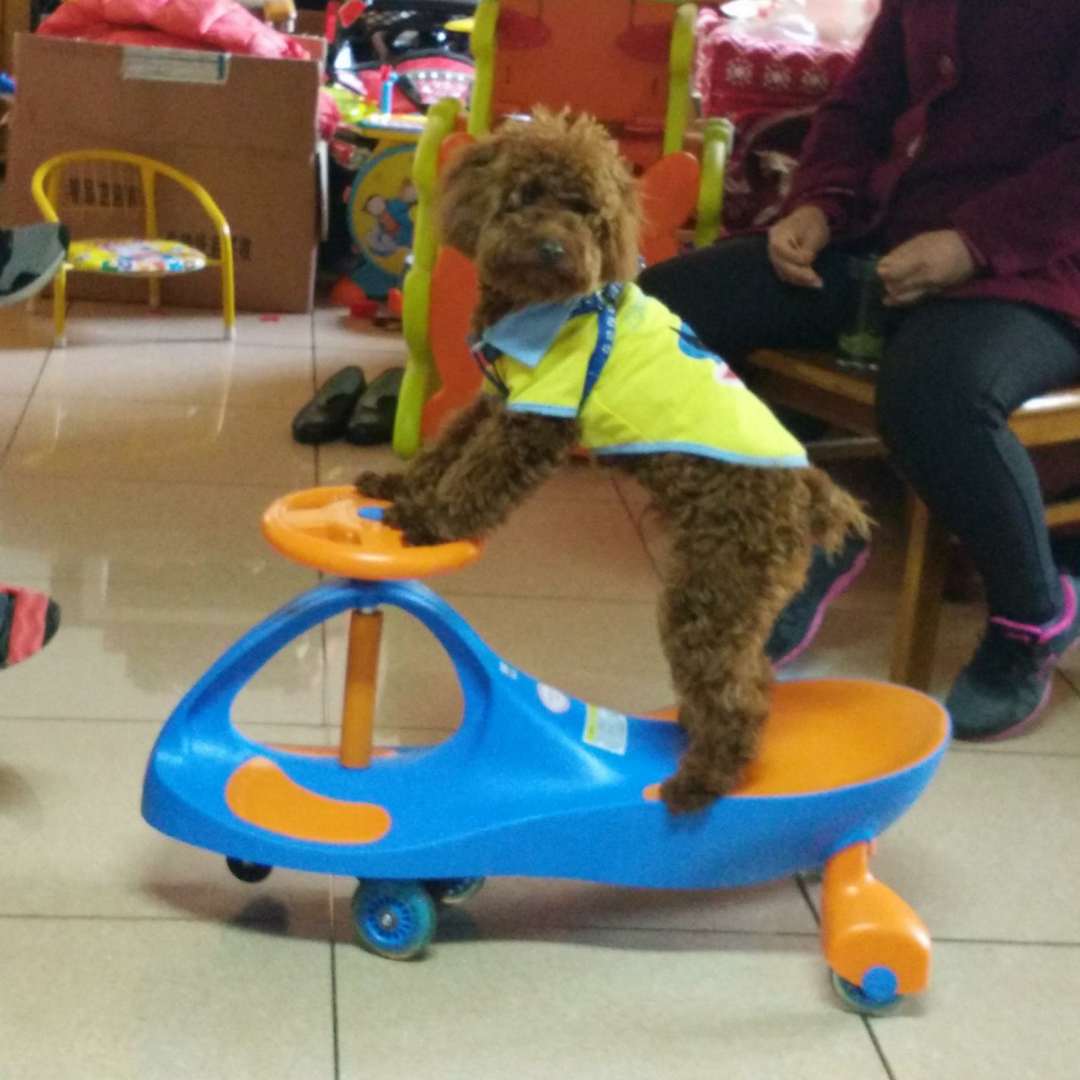 用户12528247的头像-海淘下载站