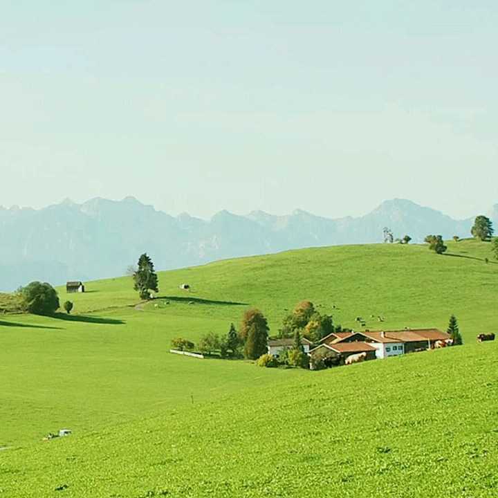 甜咖啡36895的主页_土豆视频