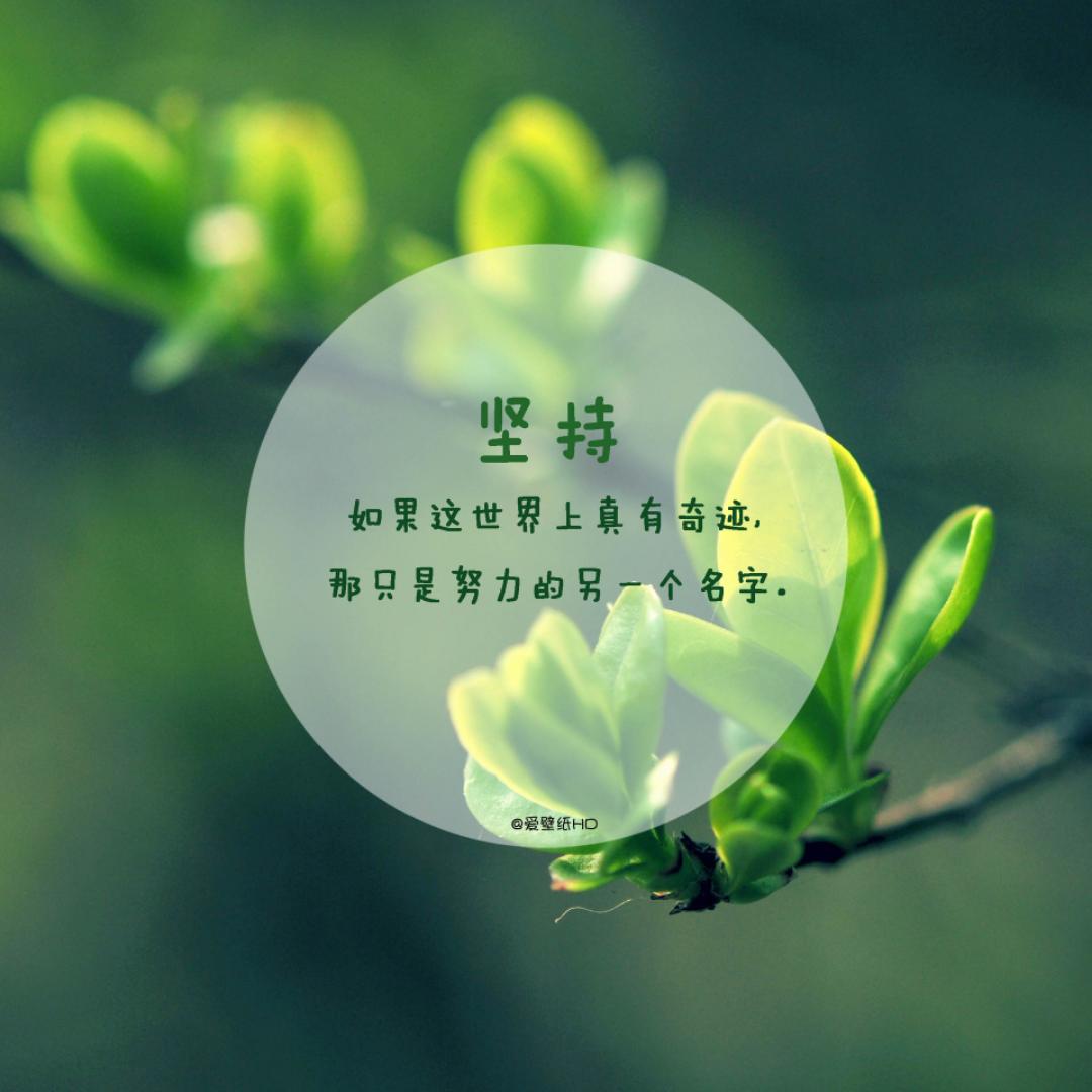 阿星的头像