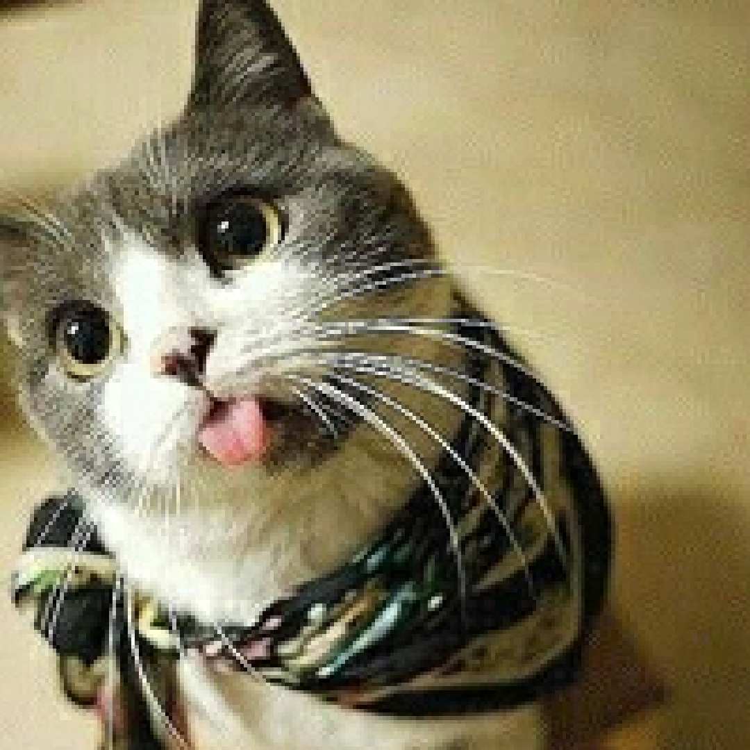 sunshinegirl1481789761924609的自频道-优酷视频