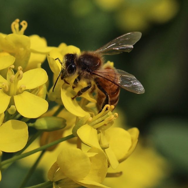 魔哒实况的自频道