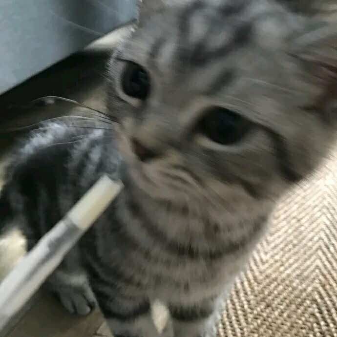 书友925700076的头像