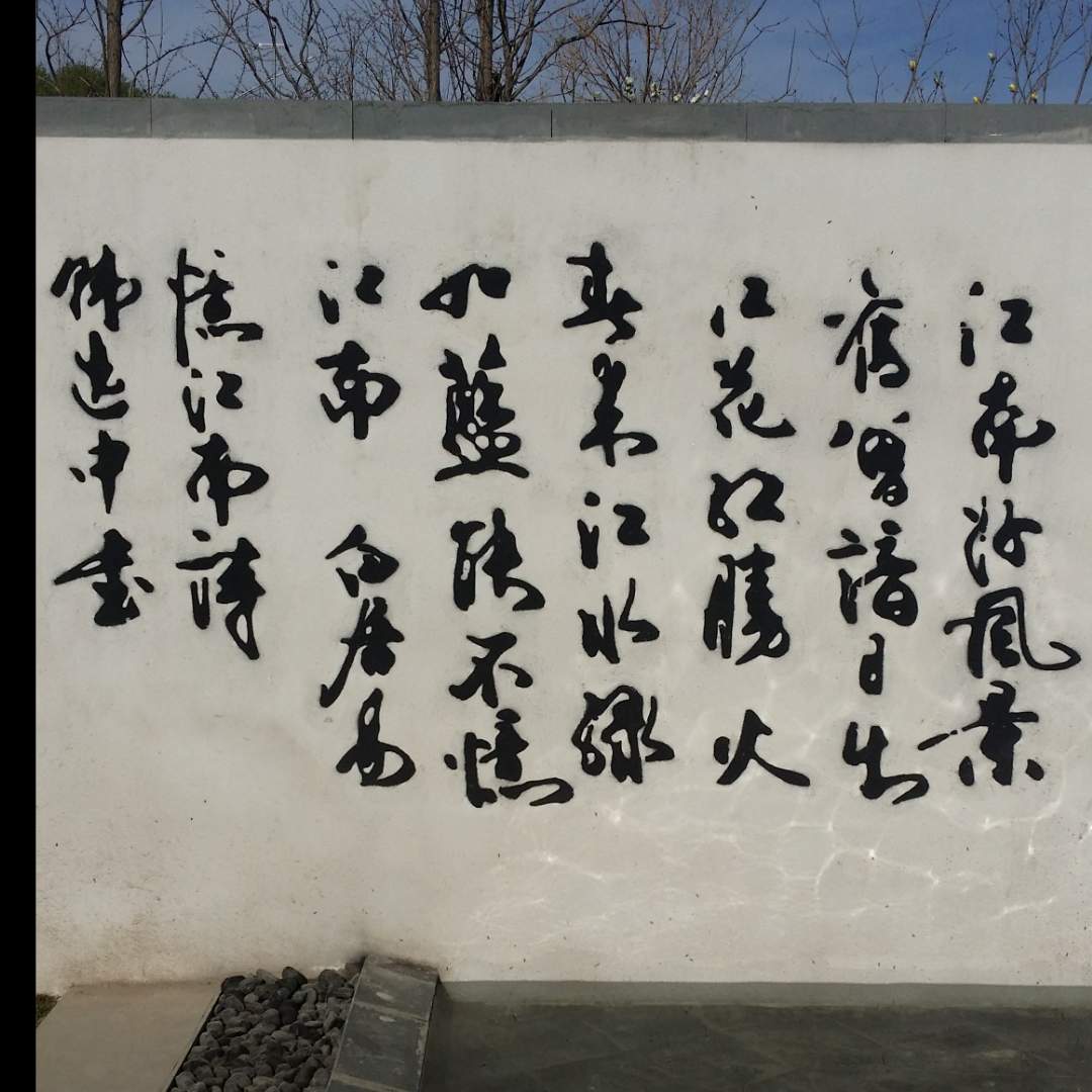 静静静静静的头像