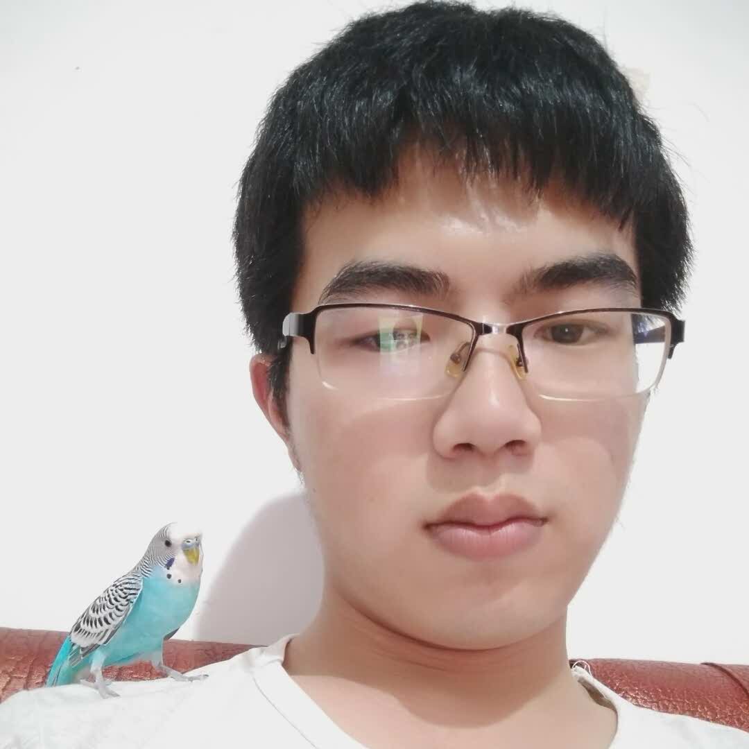阿帝古的头像