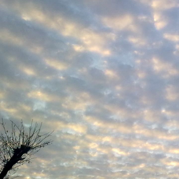 小云的头像