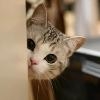暖洋洋的白骨精在尝百草的头像