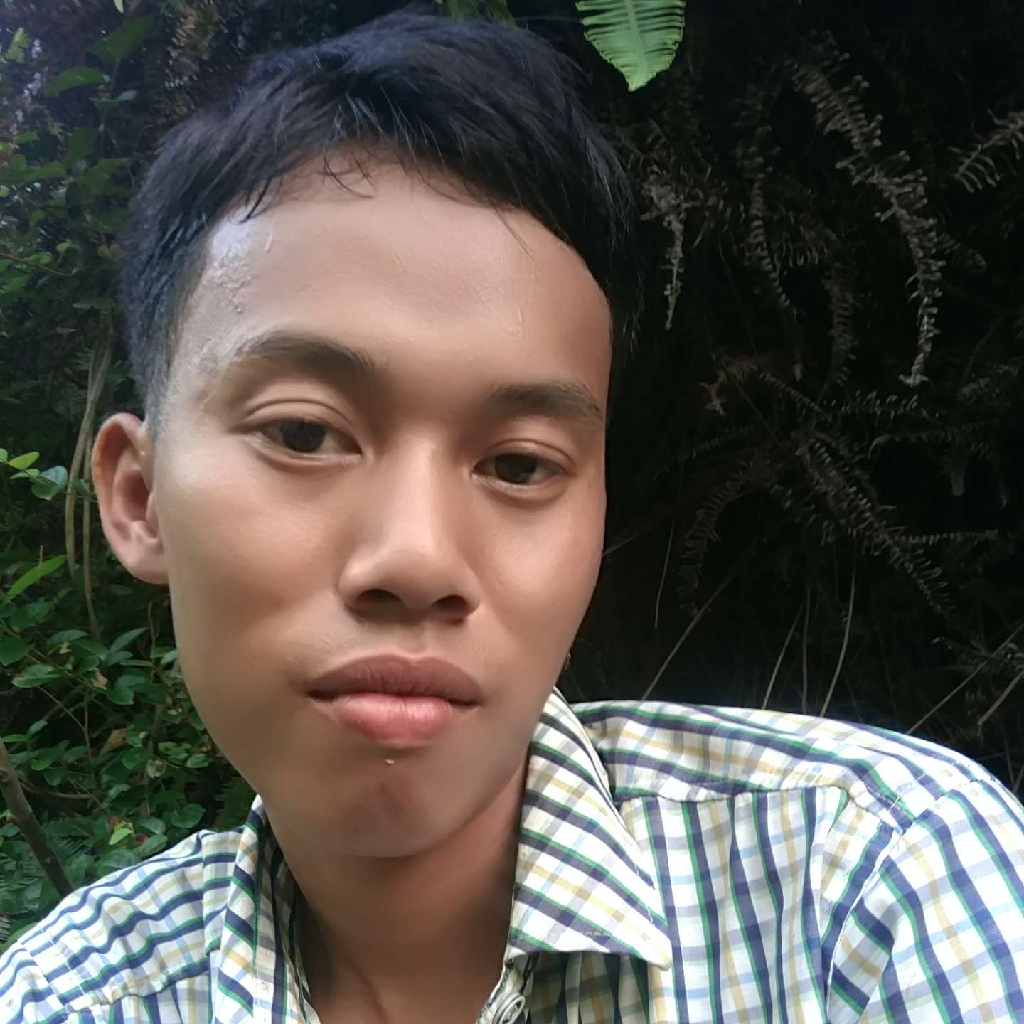 啊飞的头像