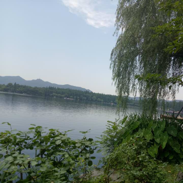 周蝶蝶的头像