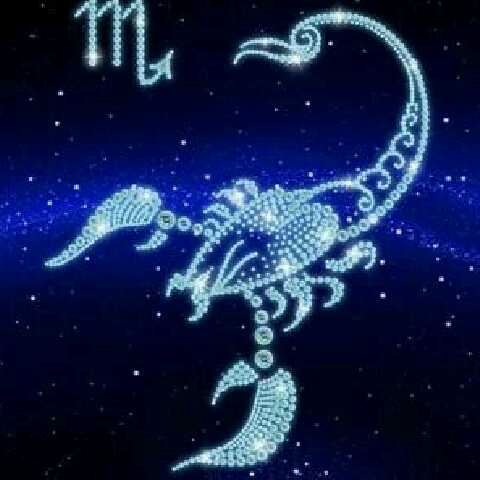 段新朋的头像