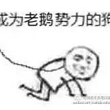 刘嘉琦的头像