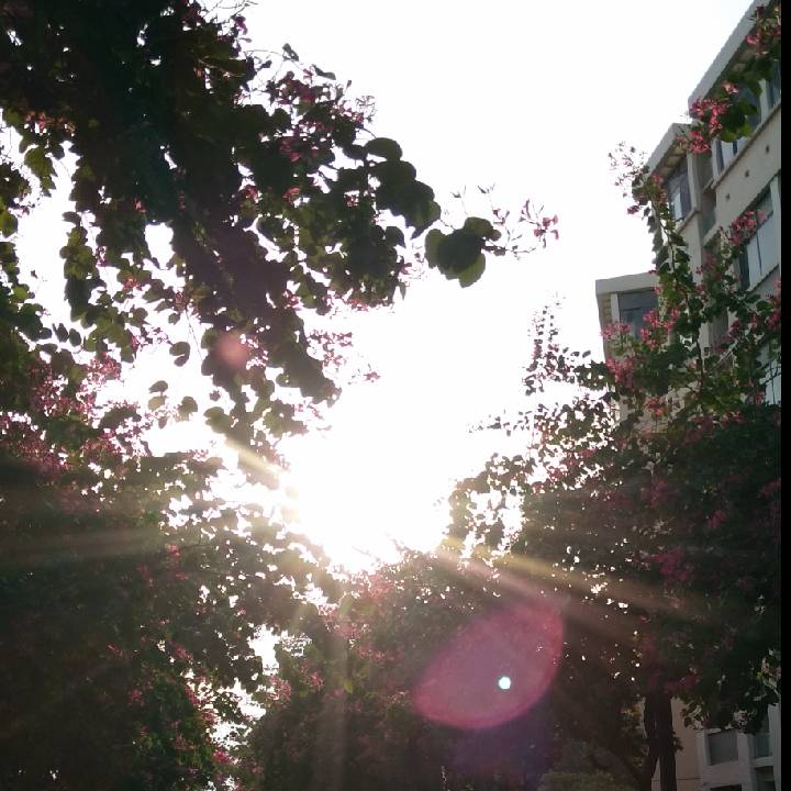 一丨丿丶的头像
