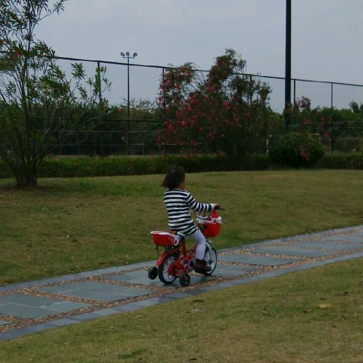 玲的头像