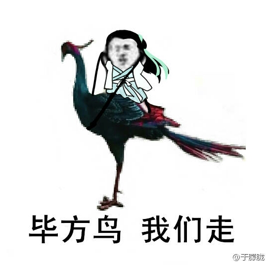 霍霍的头像