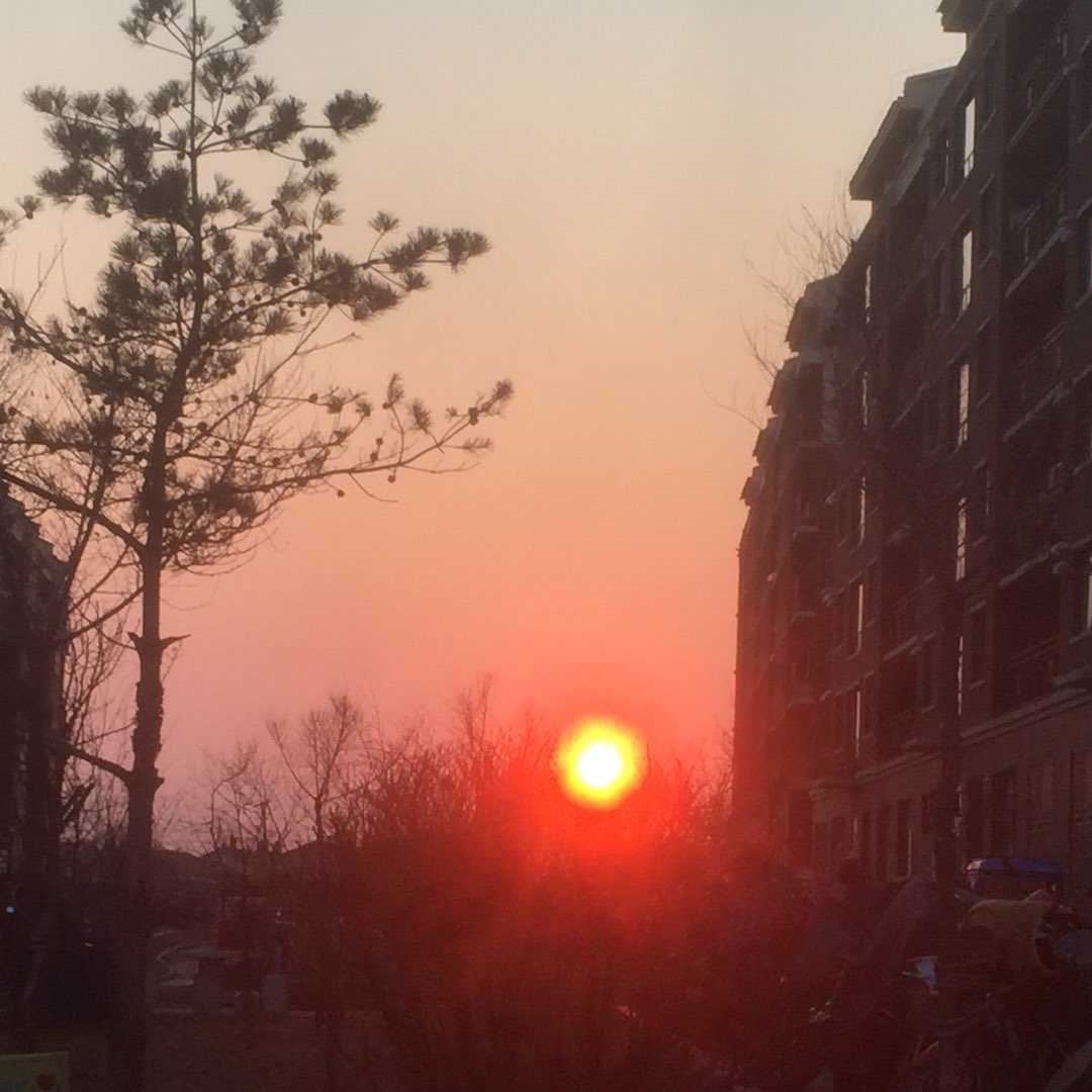 雪庆的头像