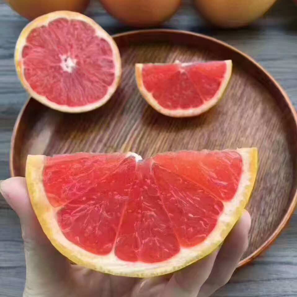 真有两把刷子的头像