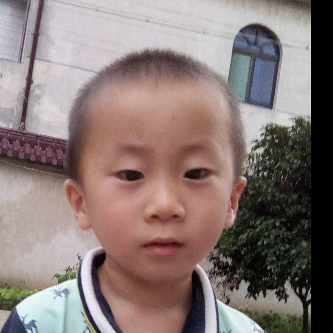书友926847708的头像