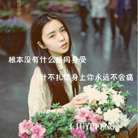 四叶草的头像