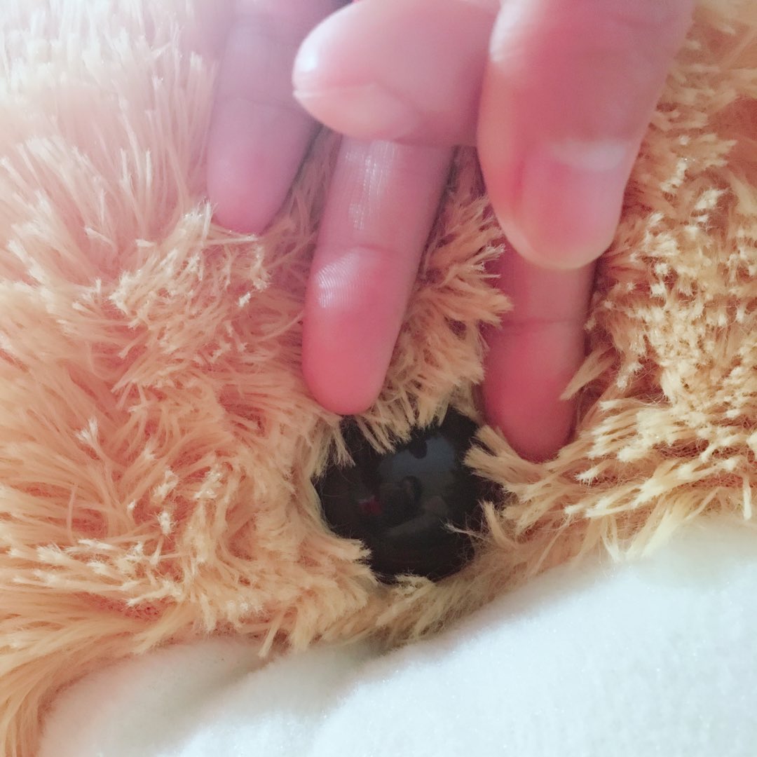 珊妹看剧