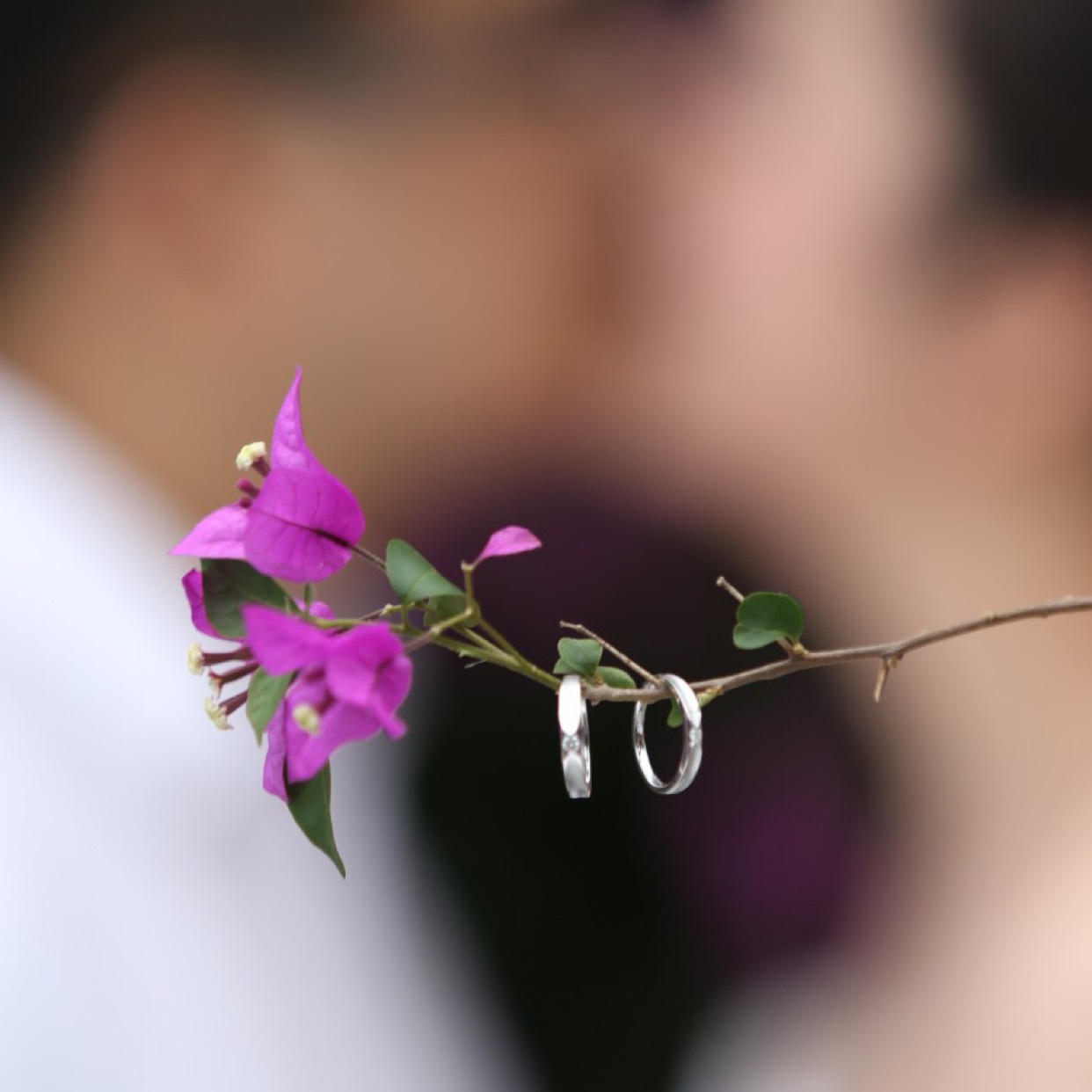 谢霖1479907467648139的主页_土豆视频