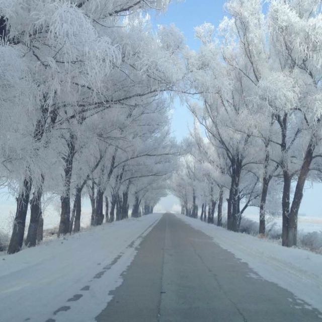 愤怒的小白36885的主页_土豆视频