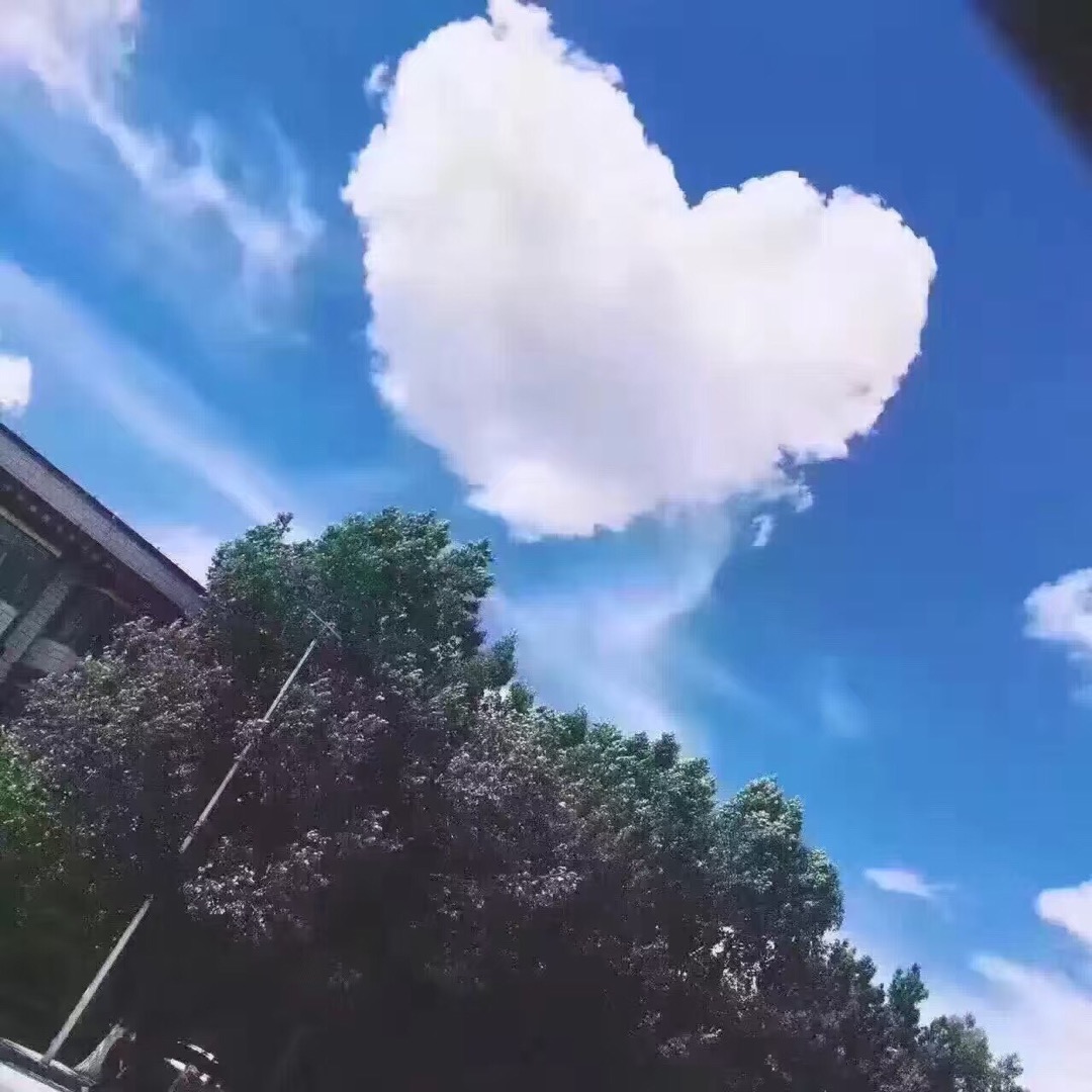 书友983476582的头像