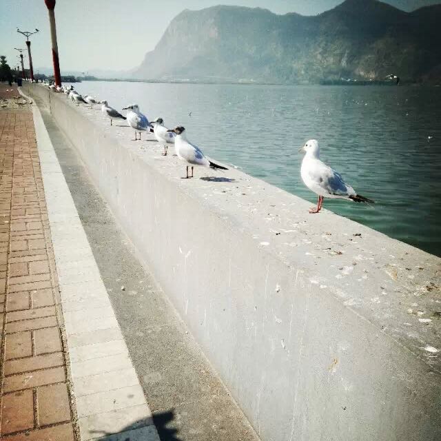 卢德明1478257117994352的主页_土豆视频