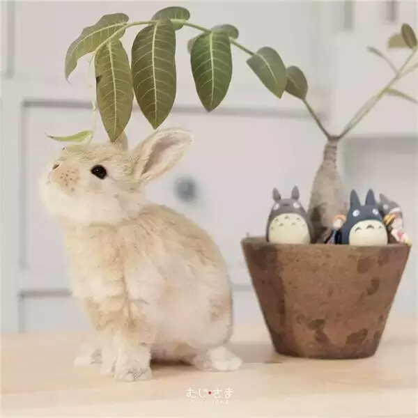 陌殇的头像