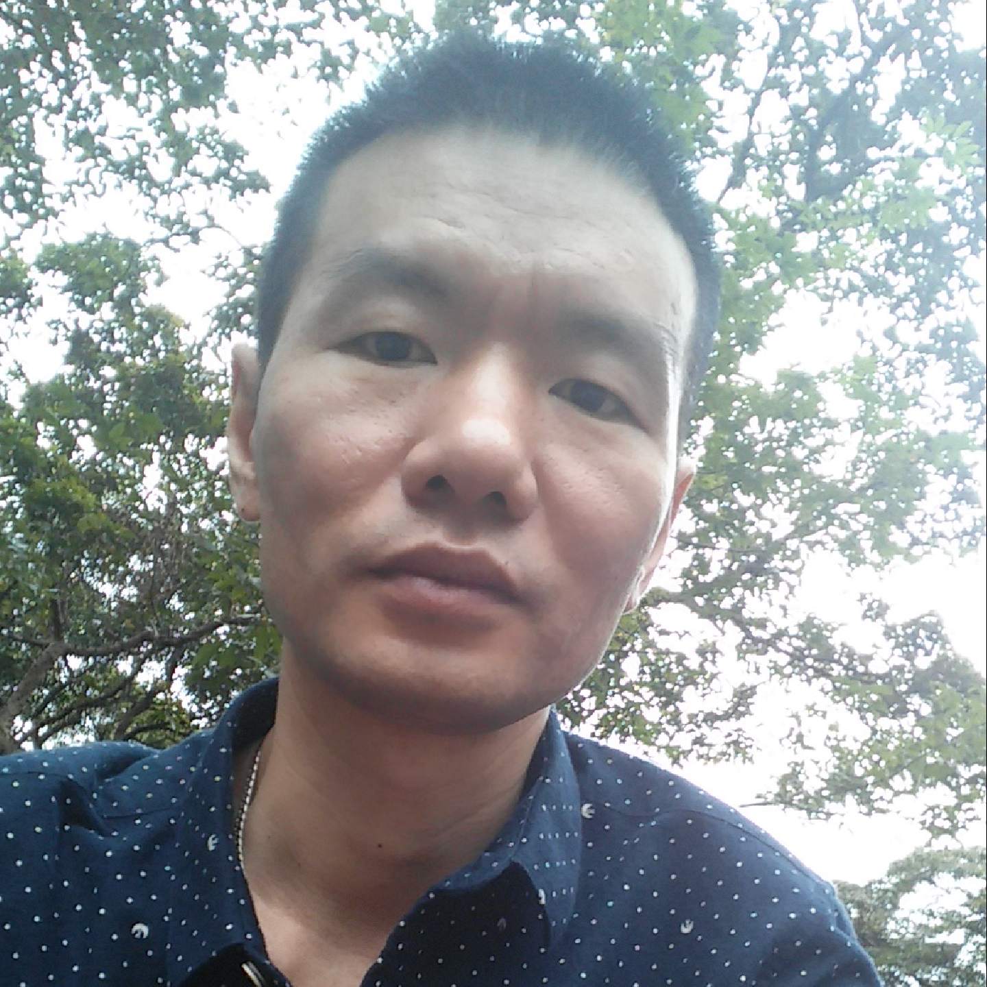 欣芭比的头像
