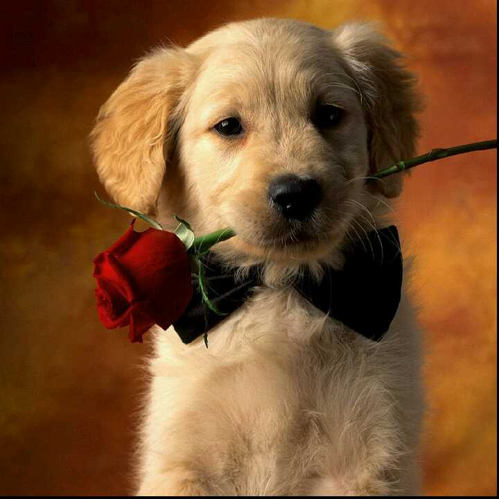 用户33259834的头像-一起DIY吧