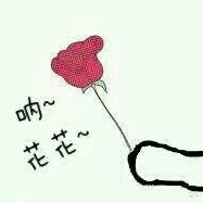 阿朱的头像