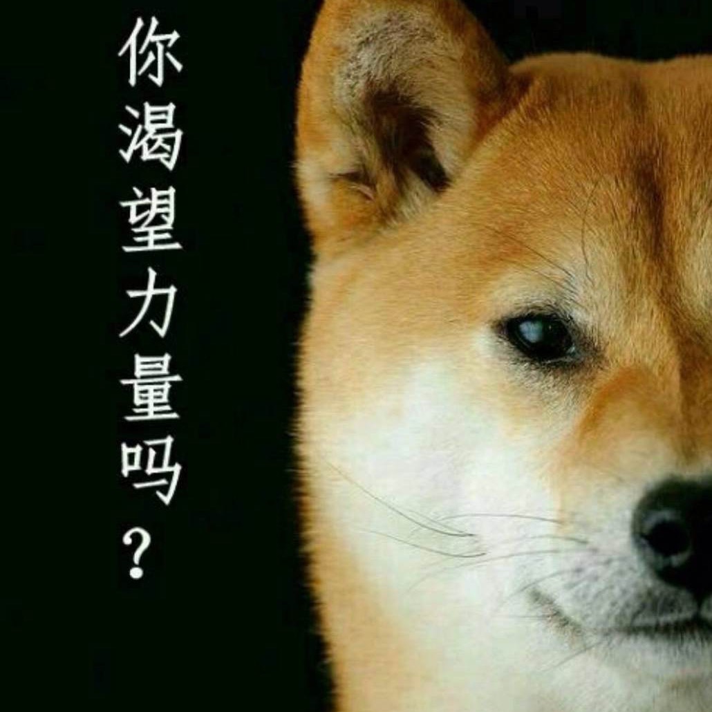 呵呵的头像