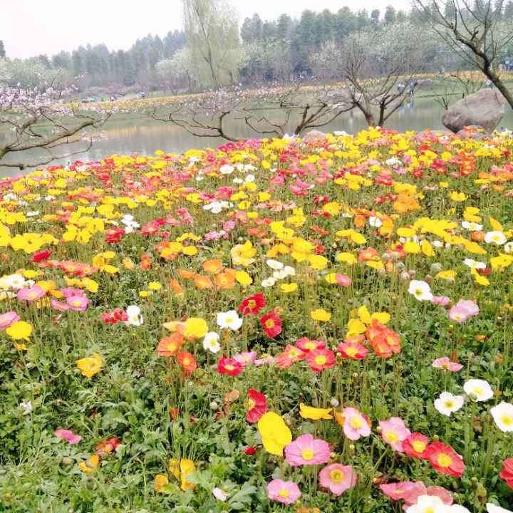 曹氏鸭脖21680的主页_土豆视频